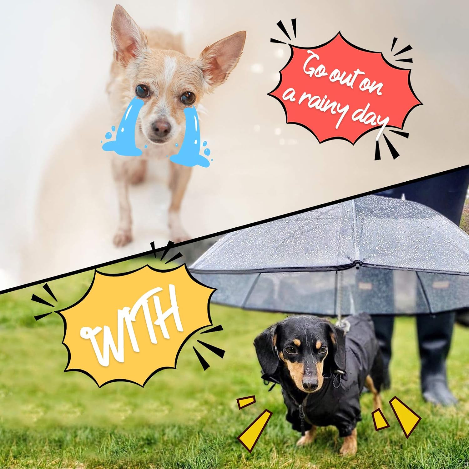 Clear Dog Umbrella for Small Dogs, Dog Umbrella Leash Keeps Dogs Dry in Rain Walking, Small Dog Rain Umbrella with Adjustable Leash, Self-Assembly